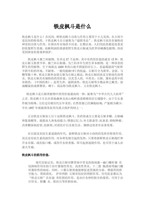 铁皮枫斗是什么