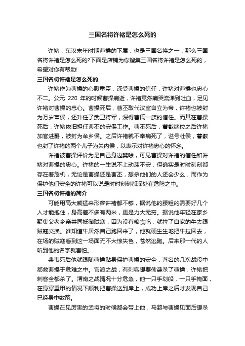 三国名将许褚是怎么死的