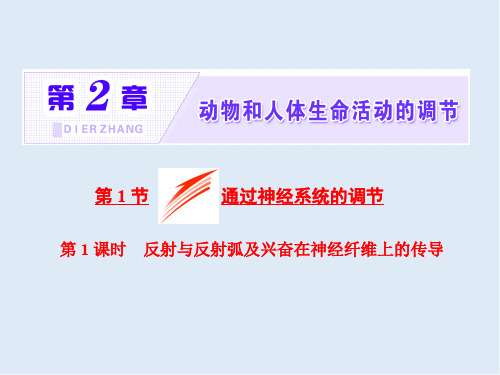 2019-2020学年高中生物人教版必修3课件：第2章 第1节 第1课时 反射与反射弧及兴奋在神经纤维上的传导 