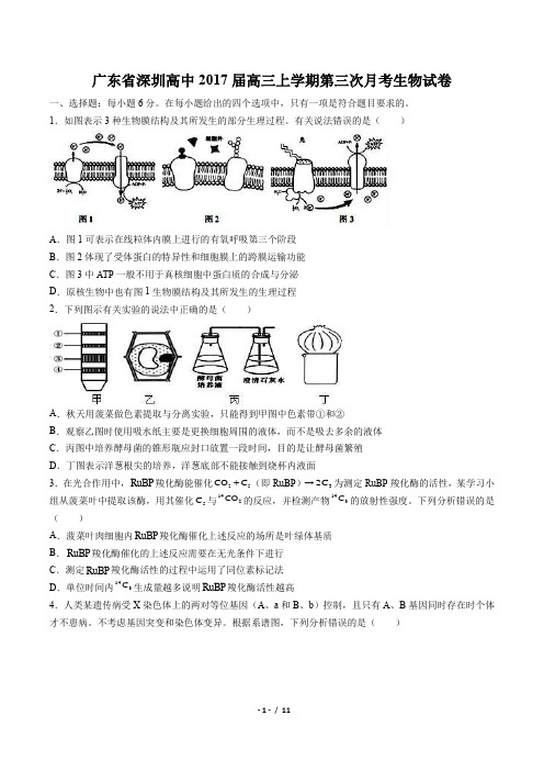 广东省深圳高中2017届高三上学期第三次月考生物试卷(附答案与解析)