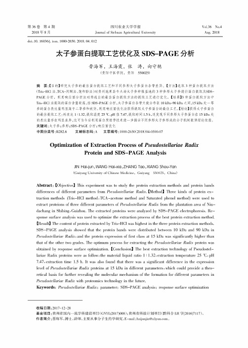 太子参蛋白提取工艺优化及SDS-PAGE分析