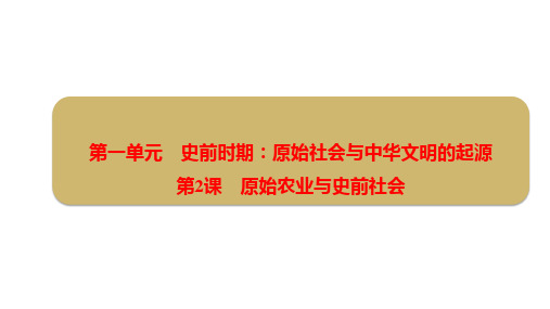 原始农业与史前社会 课件 2024-2025学年统编版(2024)历史七年级上册