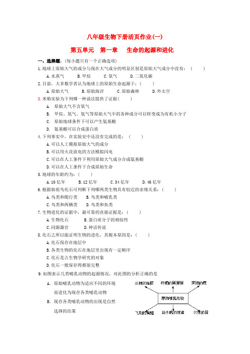 最新-八年级生物下册 第五单元 第一章生命的起源和进化活页作业(一) 济南版 精品