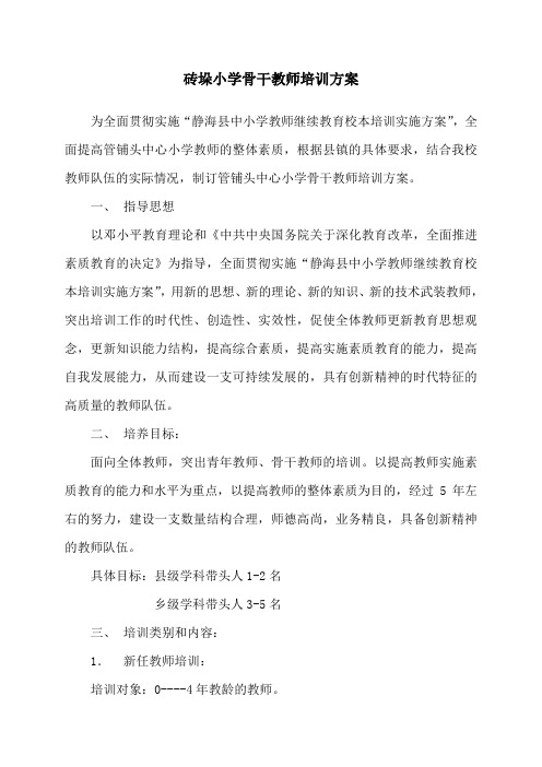 9.砖垛小学骨干教师培训方案