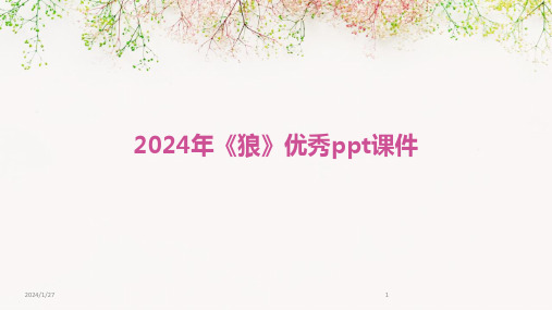 2024年《狼》优秀ppt课件(2024)