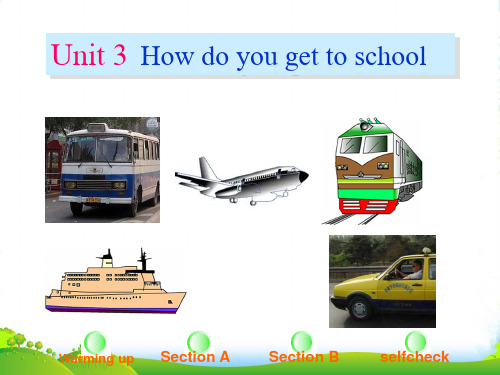 人教版七年级英语下册Unit 3 How do you get to school全单元课件