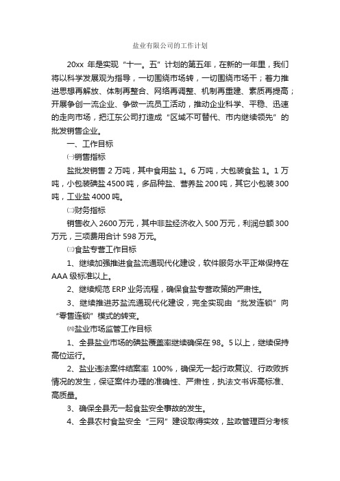 盐业有限公司的工作计划