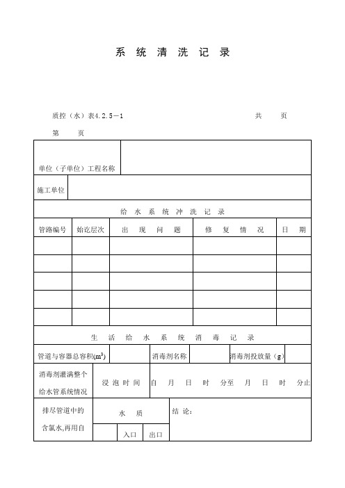 系统清洗记录表(doc格式)