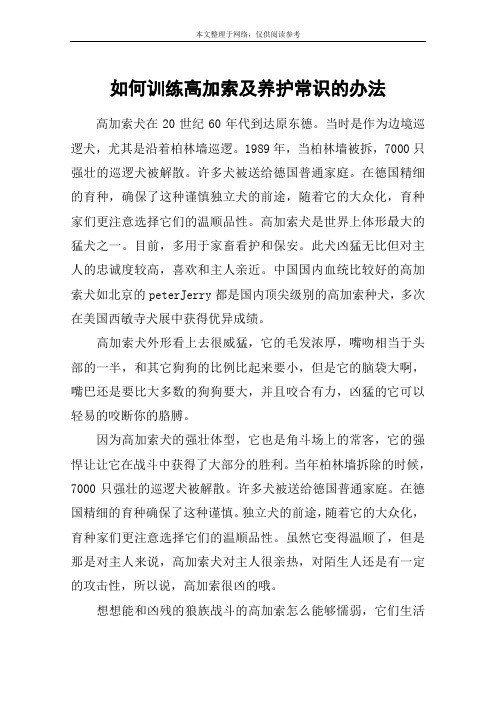 如何训练高加索及养护常识的办法