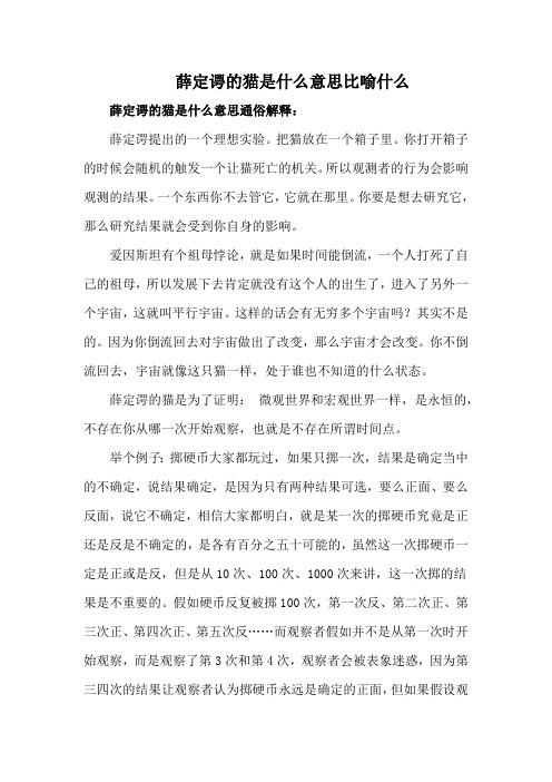 薛定谔的猫是什么意思比喻什么