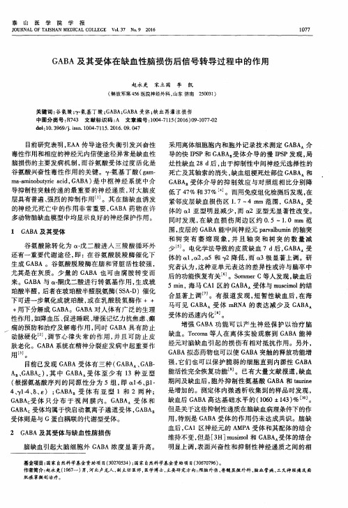 GABA 及其受体在缺血性脑损伤后信号转导过程中的作用