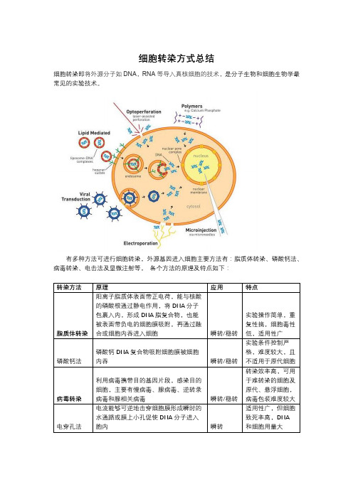 细胞转染方式总结