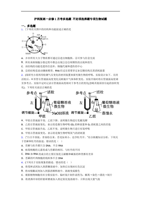 沪科版高一必修1月考多选题 不定项选择题专项生物试题