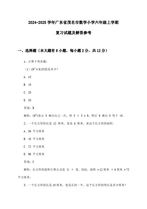 广东省茂名市数学小学六年级上学期试题及解答参考(2024-2025学年)