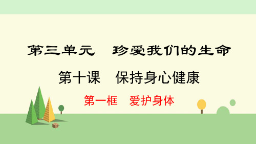 七年级上册 道德与法治   爱护身体