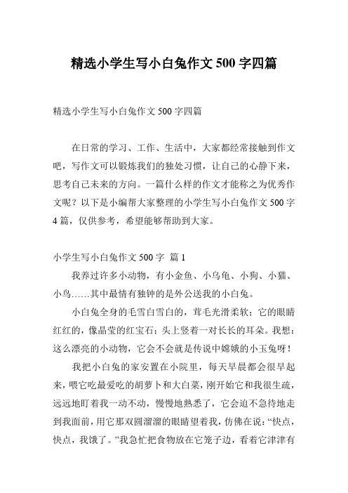 精选小学生写小白兔作文500字四篇