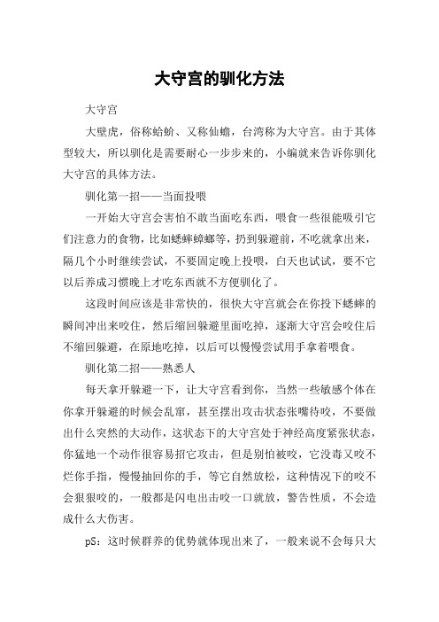 大守宫的驯化方法