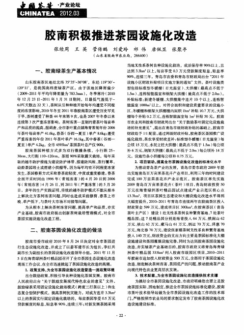 胶南积极推进茶园设施化改造
