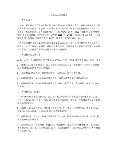 专项整治方案预期成效