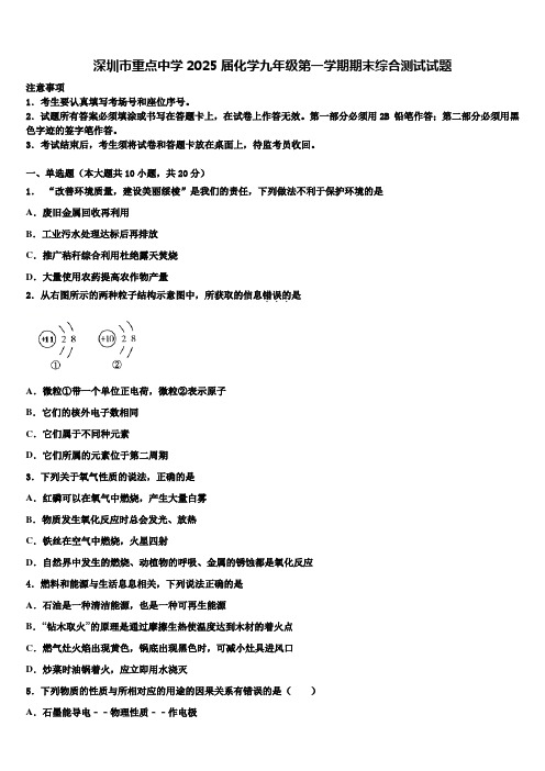 深圳市重点中学2025届化学九年级第一学期期末综合测试试题含解析