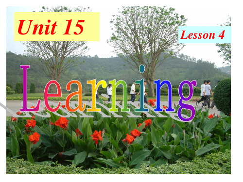 高中英语模块五 Unit 15 Learning Lesson 4 Understanding 精品课件(北师大版)