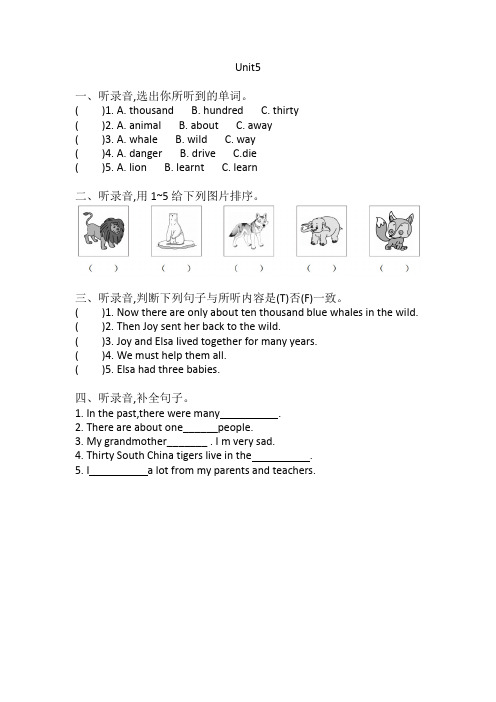 Unit5 (听力练习)六年级上册 牛津上海版(三起)含答案