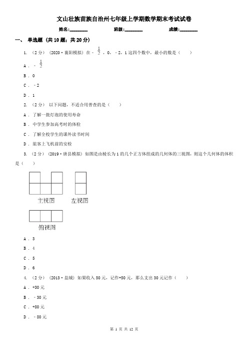 文山壮族苗族自治州七年级上学期数学期末考试试卷