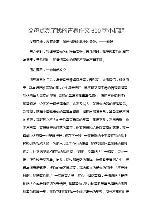 父母点亮了我的青春作文600字小标题