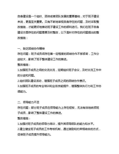 班子抓好自身建设方面存在问题整改措施