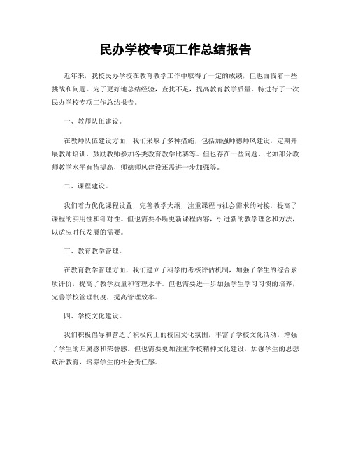 民办学校专项工作总结报告