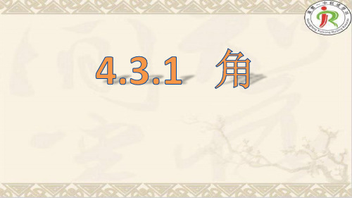 431角-江西省上饶市广丰一中锐境学校七年级数学上册参赛课件3(共10张PPT)