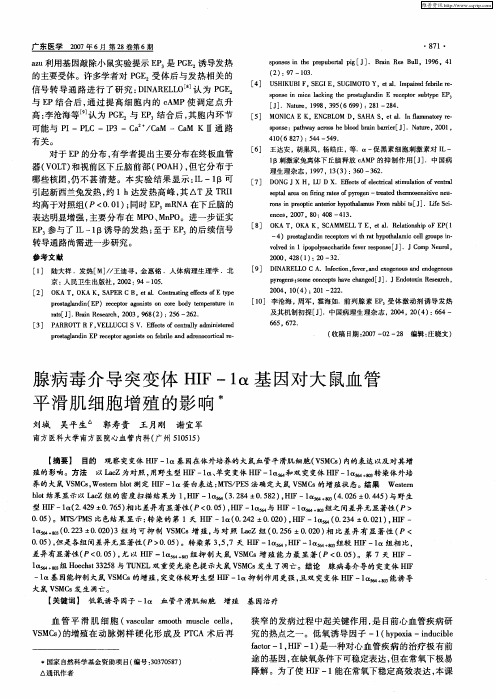 腺病毒介导突变体HIF-1α基因对大鼠血管平滑肌细胞增殖的影响