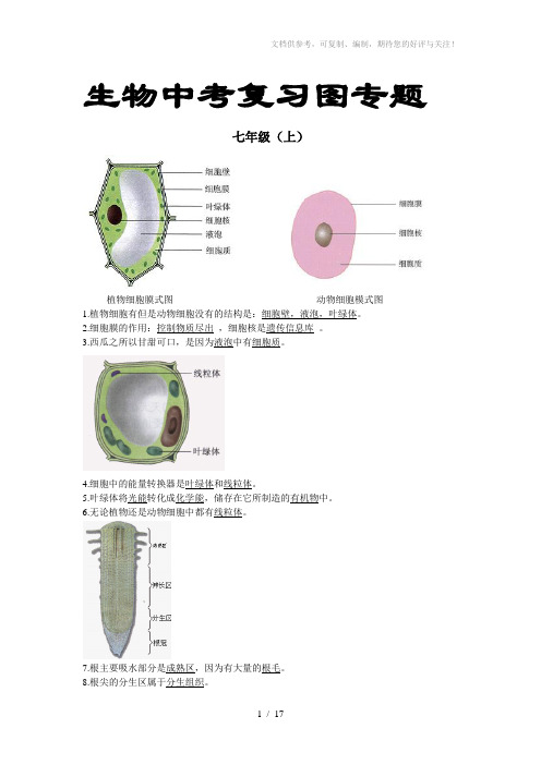 人教版初中生物中考复习图专题