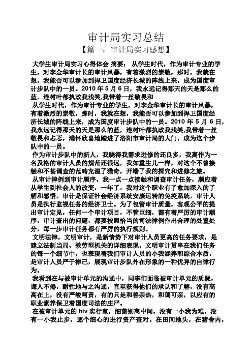 工作总结之审计局实习总结