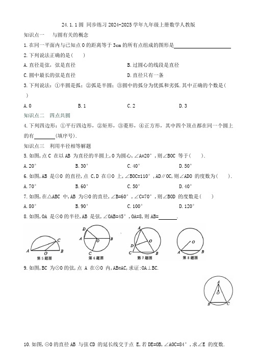 24.1.1圆 同步练习2024-2025学年九年级上册数学人教版