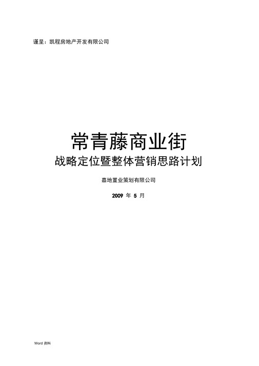 商业街战略定位暨整体营销思路计划(终)