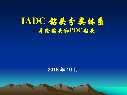 IADC钻头分类体系