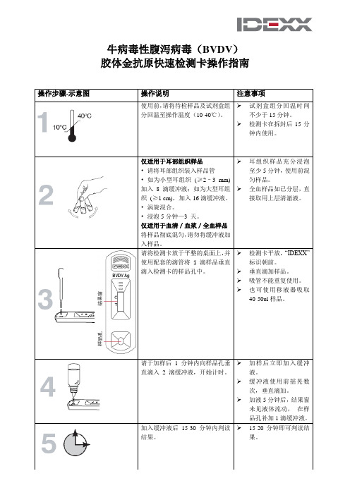牛病毒性腹泻病毒BVDV胶体金抗原快速检测技术