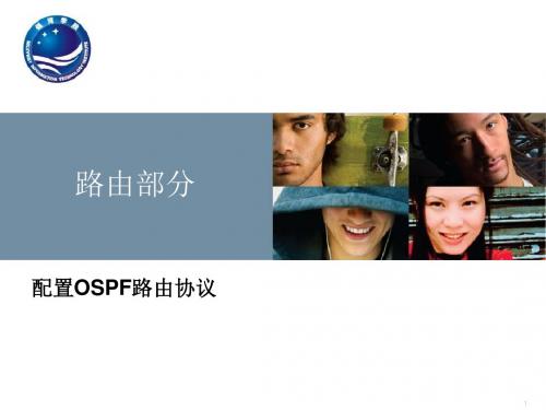 10_单区OSPF