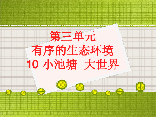 六年级科学下册_10小池塘大世界81冀人版9张标准课件