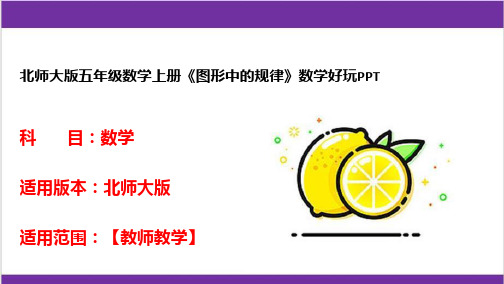 北师大版五年级数学上册《图形中的规律》数学好玩PPT