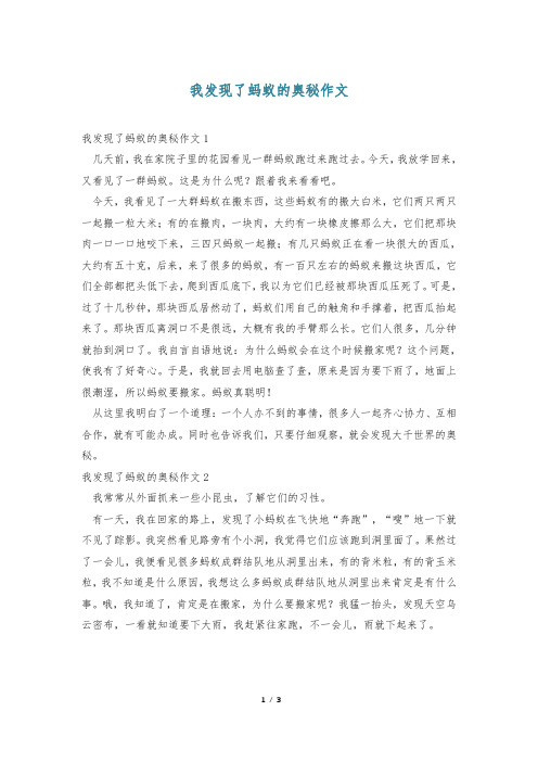 我发现了蚂蚁的奥秘作文