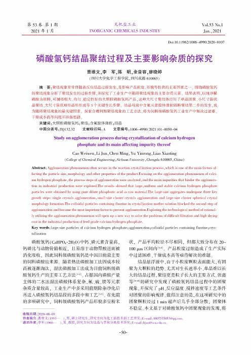 磷酸氢钙结晶聚结过程及主要影响杂质的探究