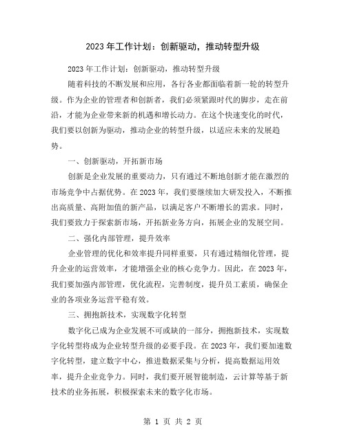 2023年工作计划：创新驱动,推动转型升级