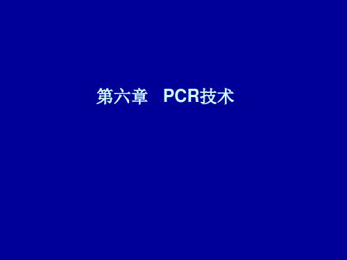 PCR技术ppt课件