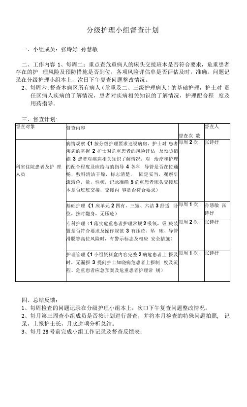 分级护理小组小组督查计划