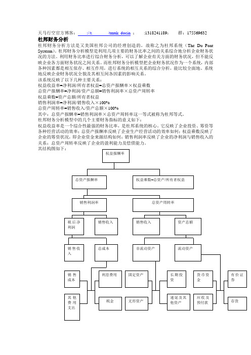 《杜邦财务分析》word版