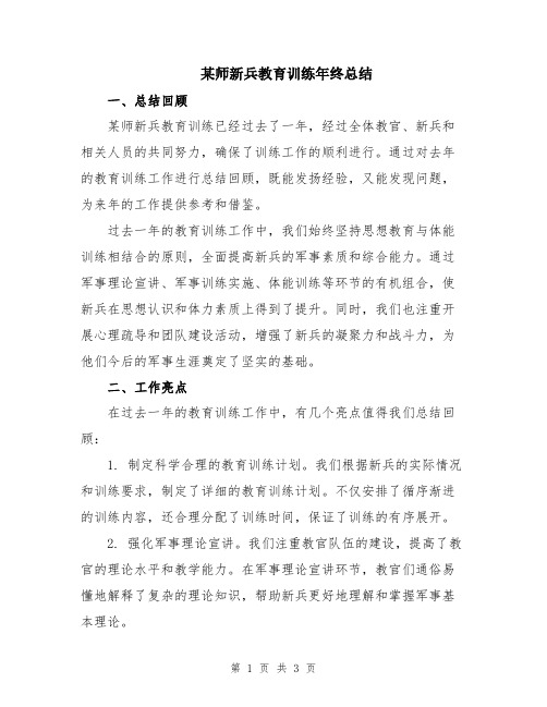 某师新兵教育训练年终总结