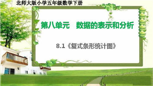 北师大版五年级数学下册8.1《复式条形统计图》课件