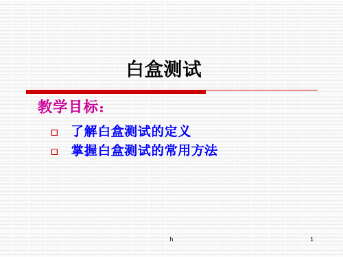 [计算机软件及应用]软件测试-白盒测试